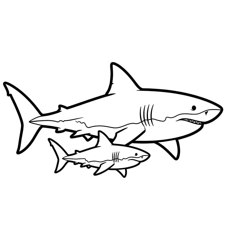 To Haier fargelegging