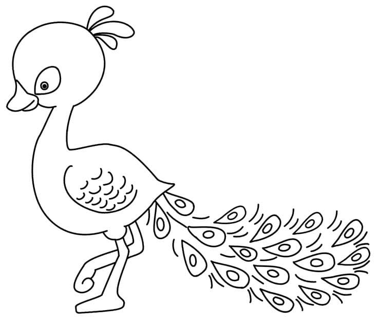 Utskriftbar Påfugl Uten Kostnad fargelegging