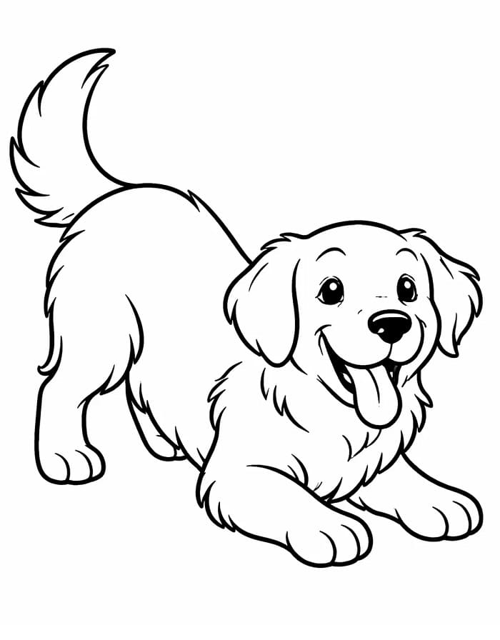 En Golden Retriever Hund fargelegging