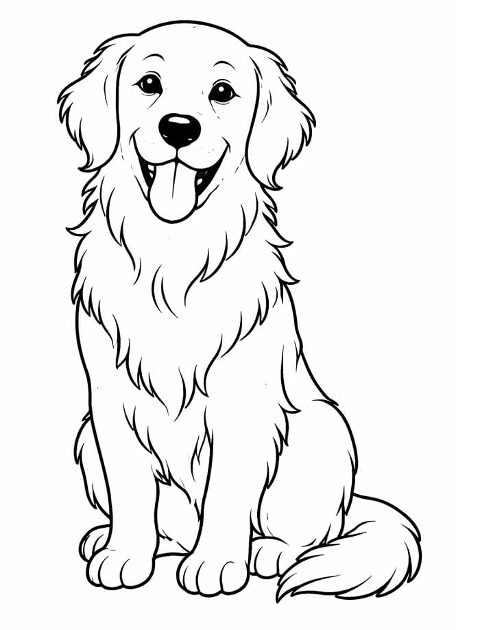 En Golden Retriever fargelegging