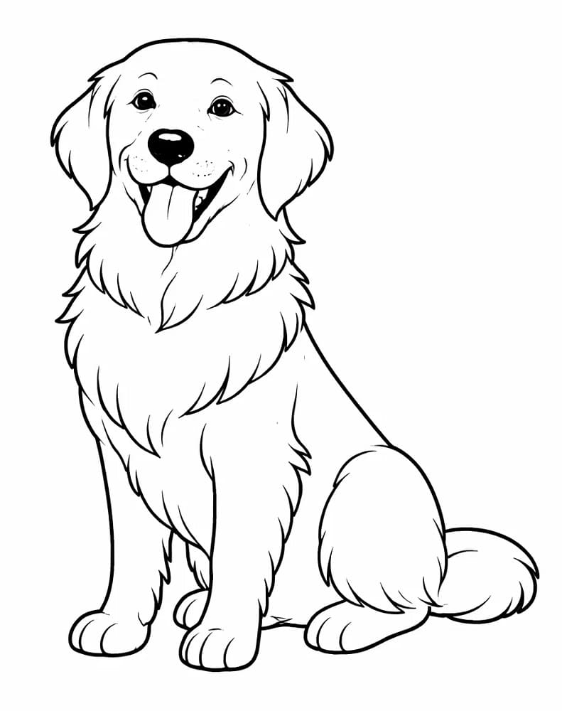 Enkel Golden Retriever fargelegging