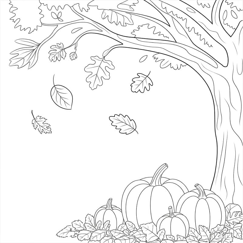 Enkel høst fargelegging