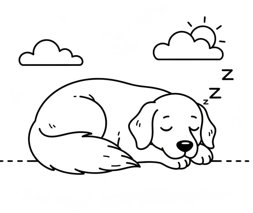 Glad Golden Retriever fargelegging