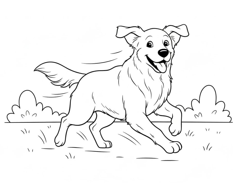 Golden Retriever Hund fargelegging