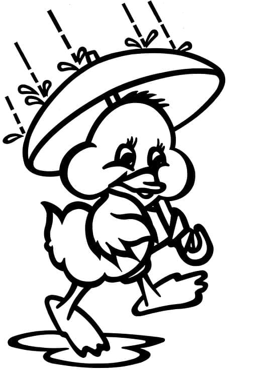 Høst for 4-åringer fargelegging