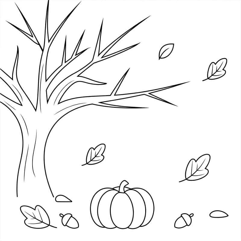 Lett høst fargelegging