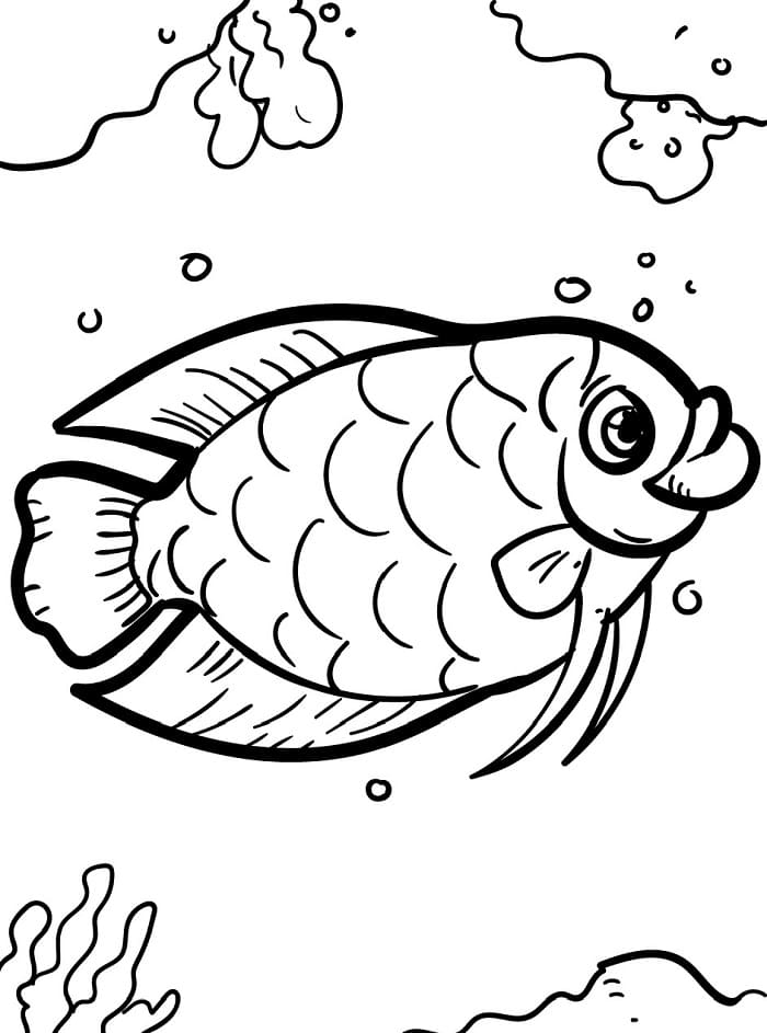 Skriv ut Fisk fargelegging