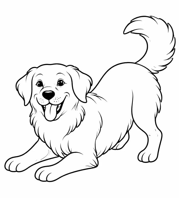 Søt Golden Retriever Hund fargelegging