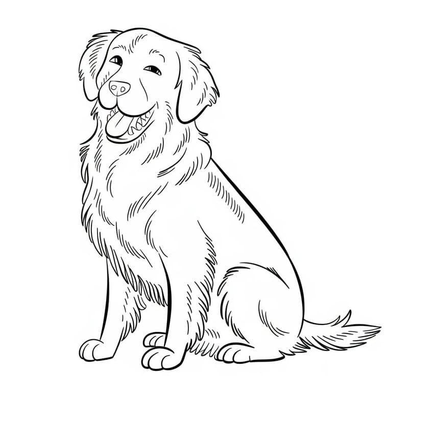 Utskriftbar Gratis Golden Retriever fargelegging