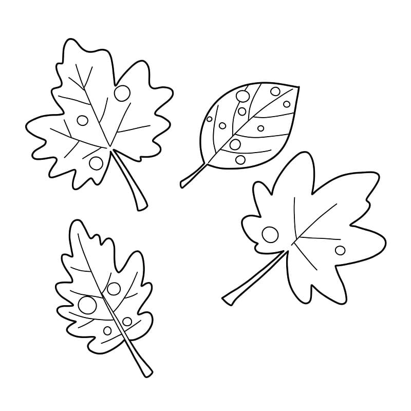 Vakker høst fargelegging