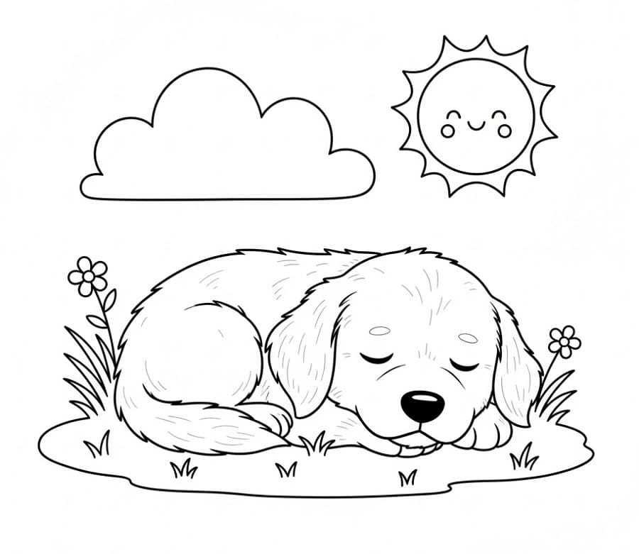 Valp Gratis Bilde fargelegging