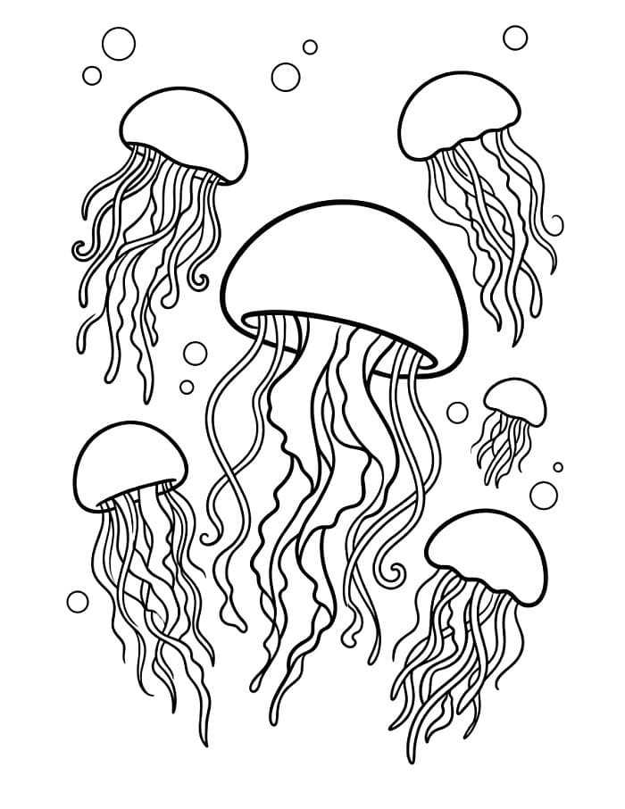 Elskelig manet fargelegging