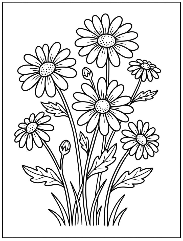 En Tusenfrydblomst fargelegging