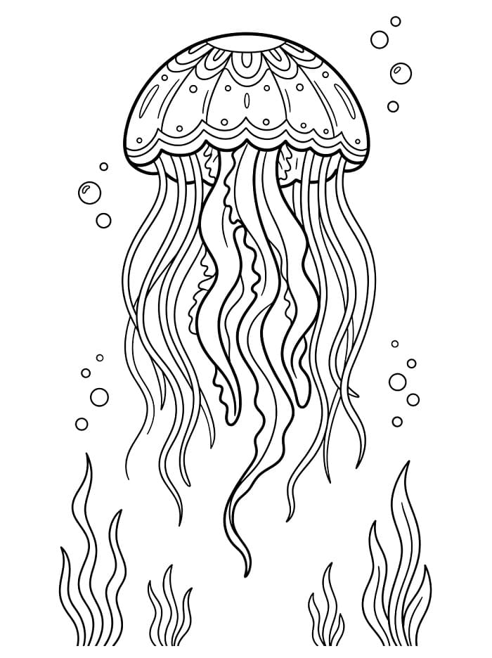 Enkel manet fargelegging