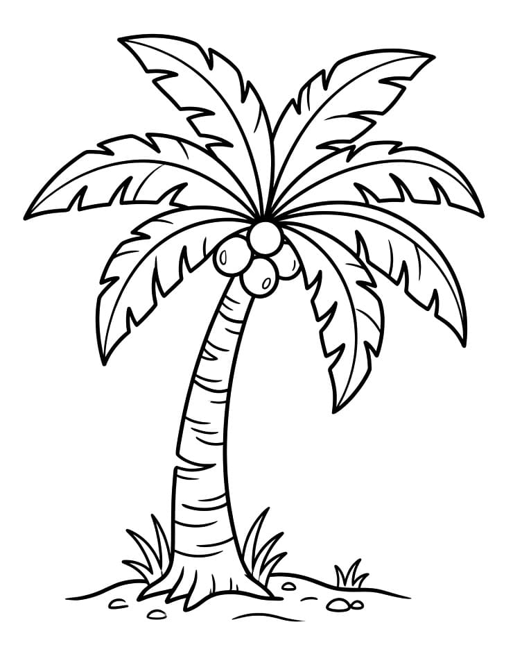 Palmetre Fargelegging