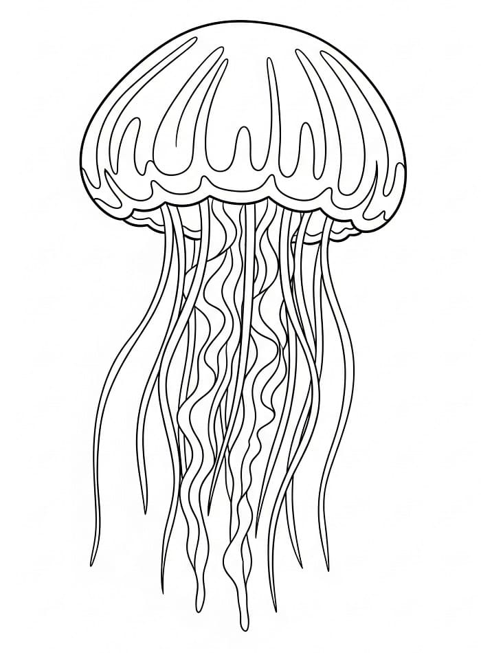 Fantastisk manet fargelegging