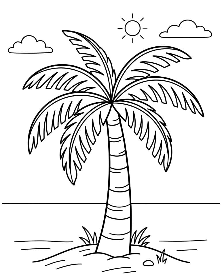 Fin palme fargelegging