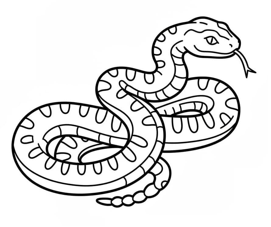 Glad Slange fargelegging