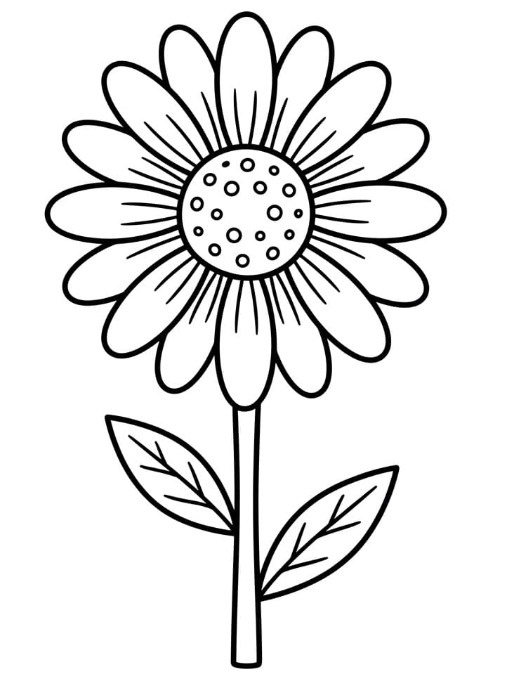 Gratis Tusenfryd fargelegging