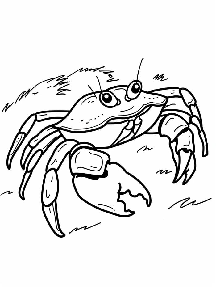 Gratis krabbe fargelegging