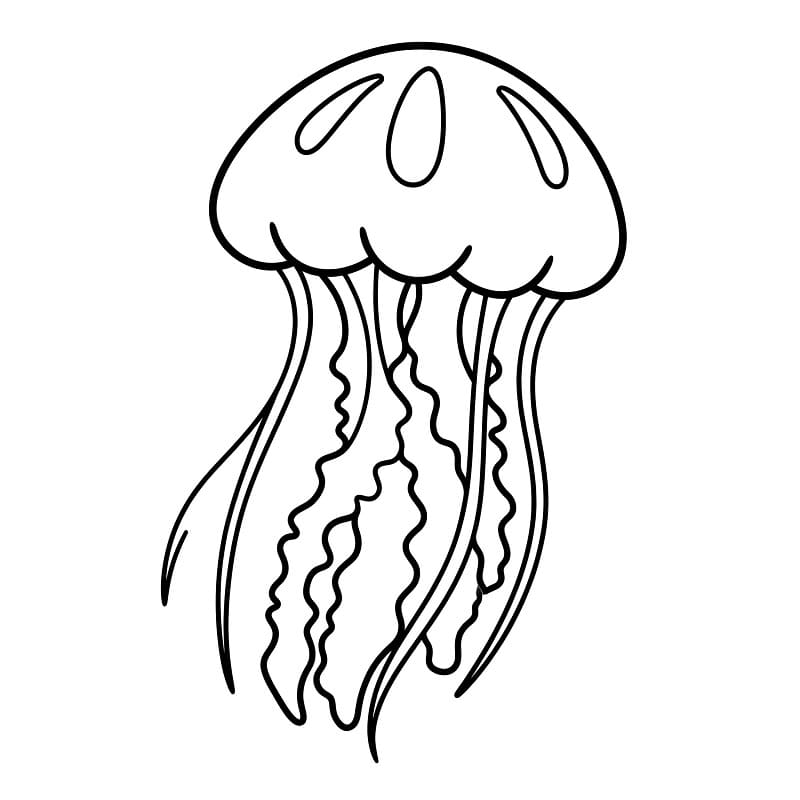 Gratis manet fargelegging