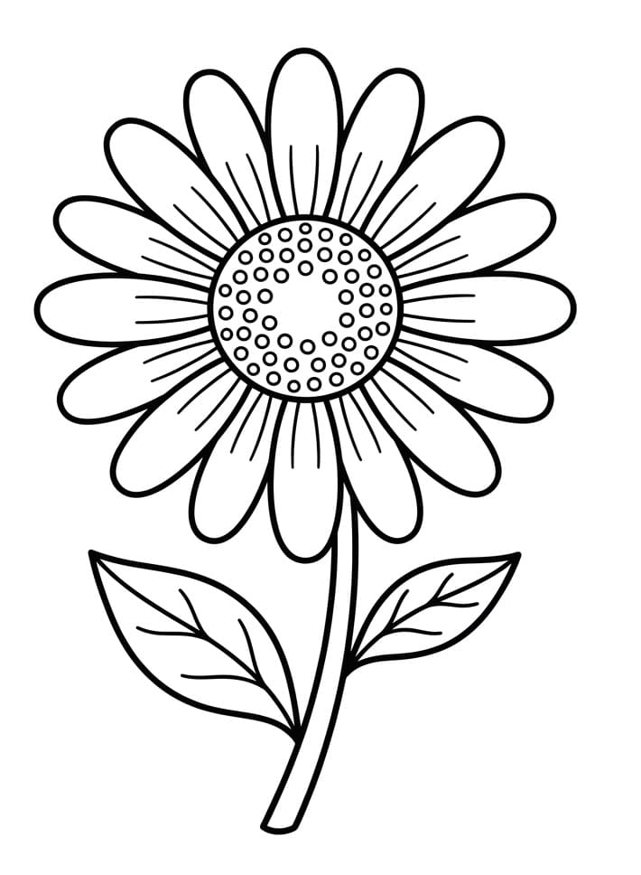 Gratis utskriftbar Tusenfryd fargelegging