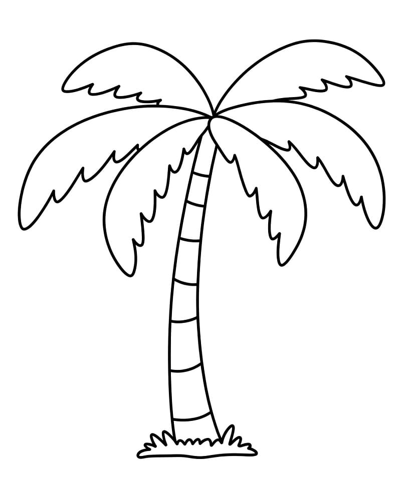 Grønn palme fargelegging