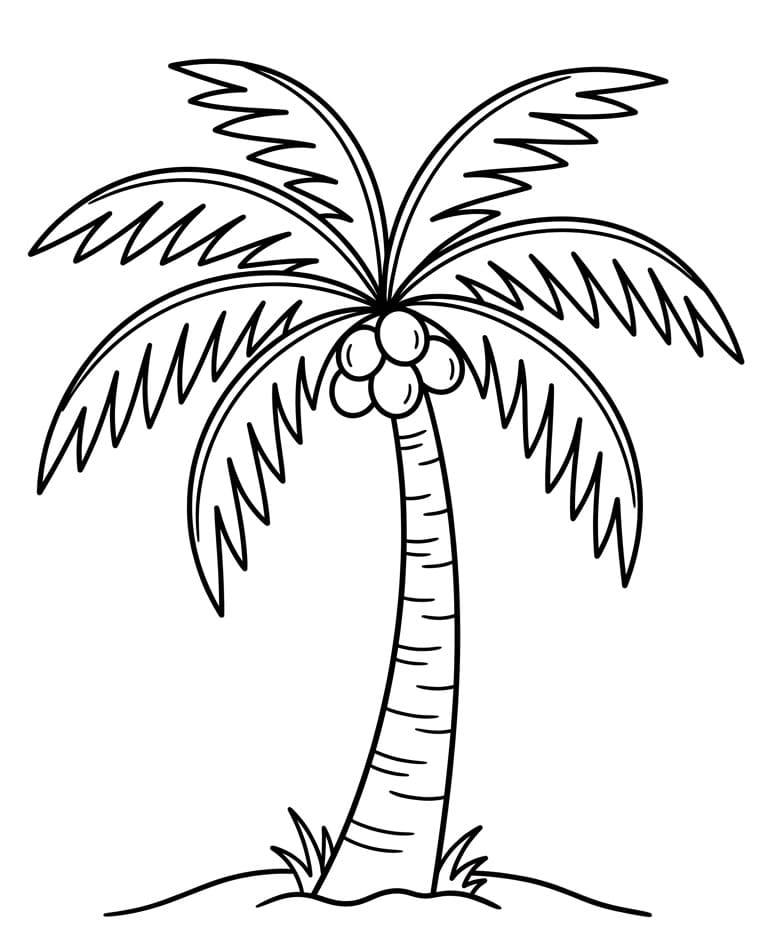 Kul palme fargelegging