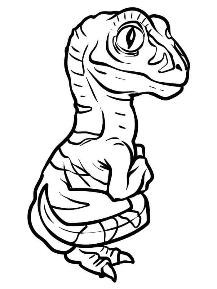 Lett Velociraptor fargelegging