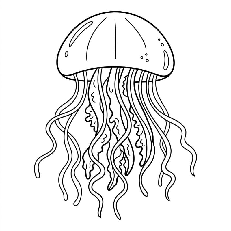 Lett manet fargelegging