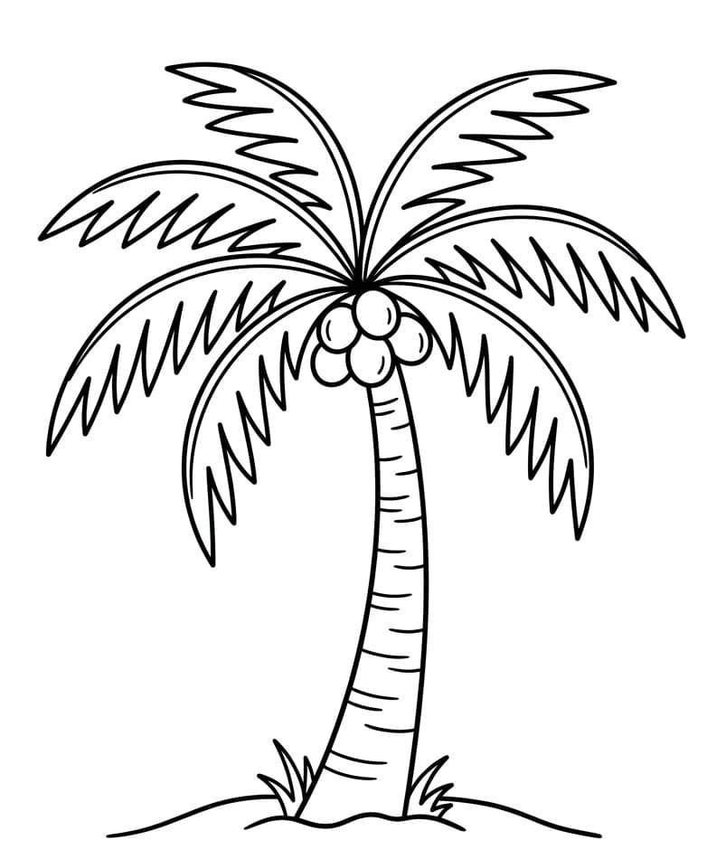 Lett palme fargelegging