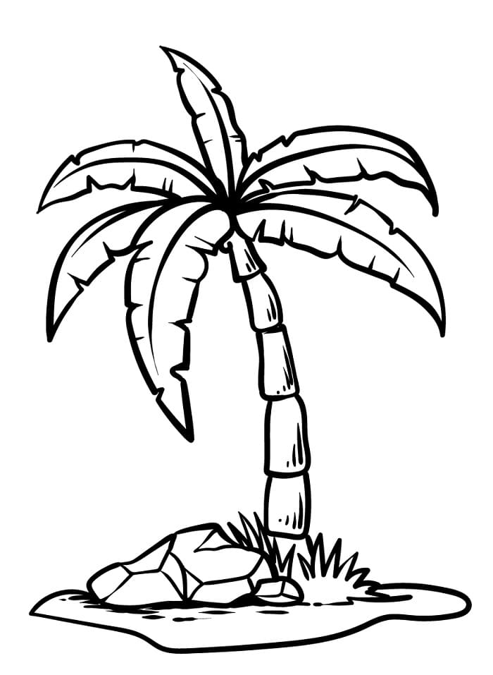 Palme 1 fargelegging