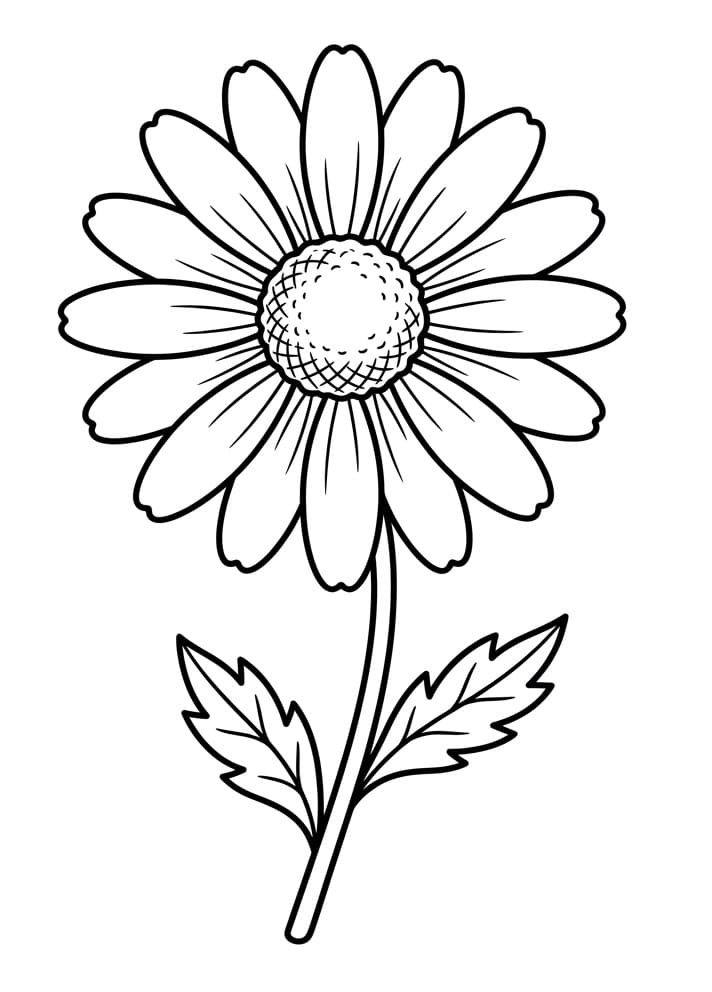 Pen Tusenfryd fargelegging