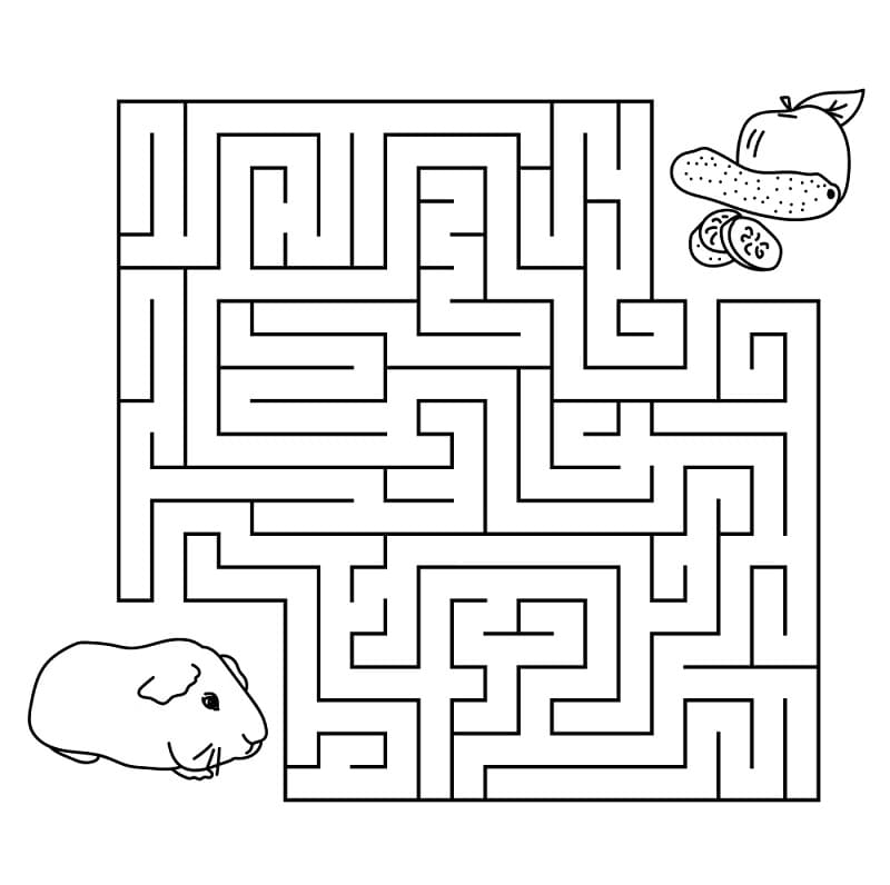 Perfekt labyrint fargelegging