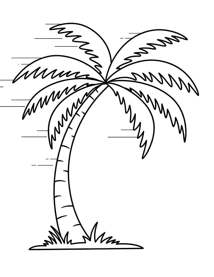 Skriv ut palme fargelegging