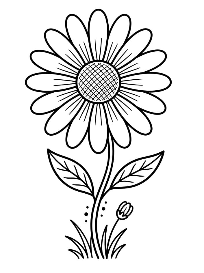 Søt Tusenfryd fargelegging