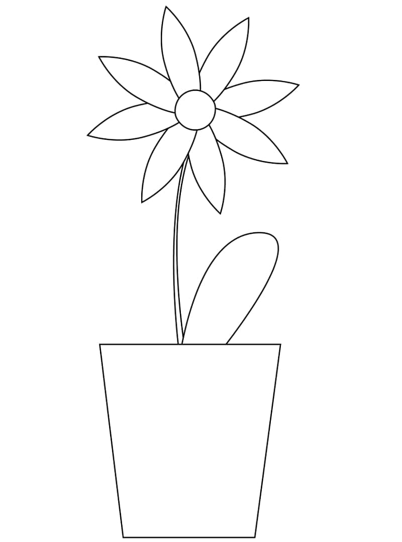 Utskriftbar Tusenfryd uten kostnad fargelegging