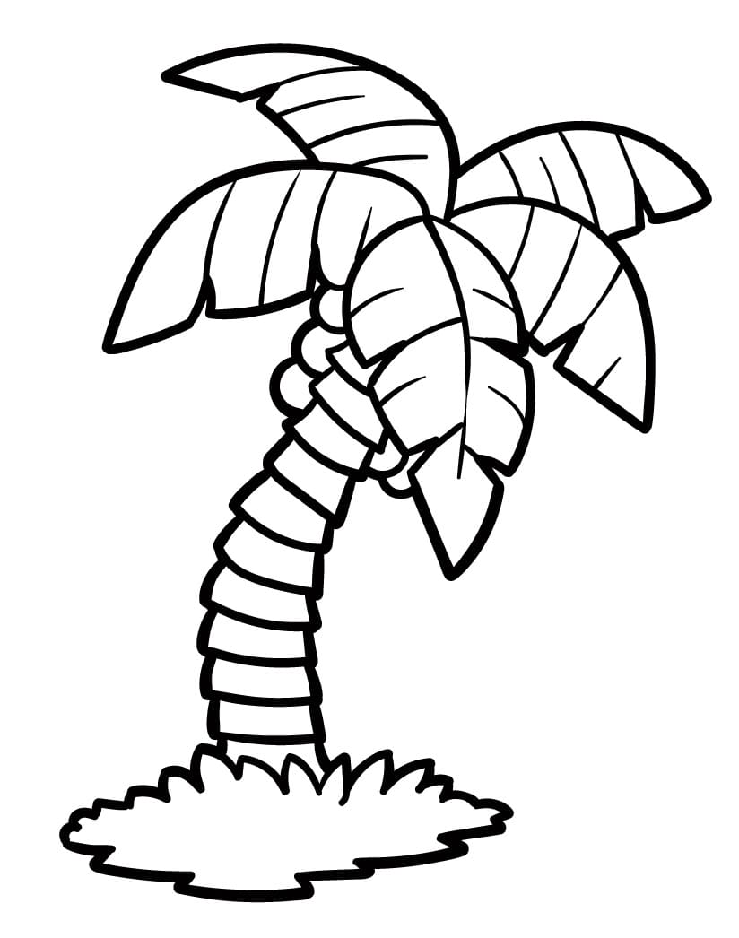 Utskriftbar gratis palme fargelegging