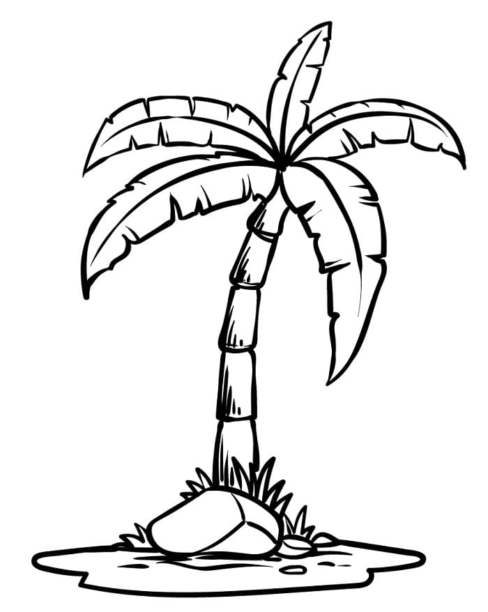 Utskriftbart bilde palme fargelegging