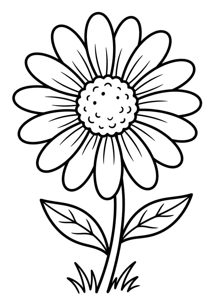 Vakker Tusenfryd fargelegging