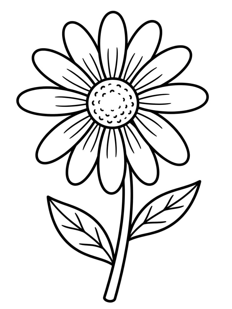 Vakker Tusenfrydblomst fargelegging