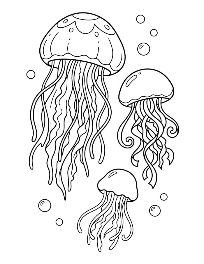 Vakker manet fargelegging