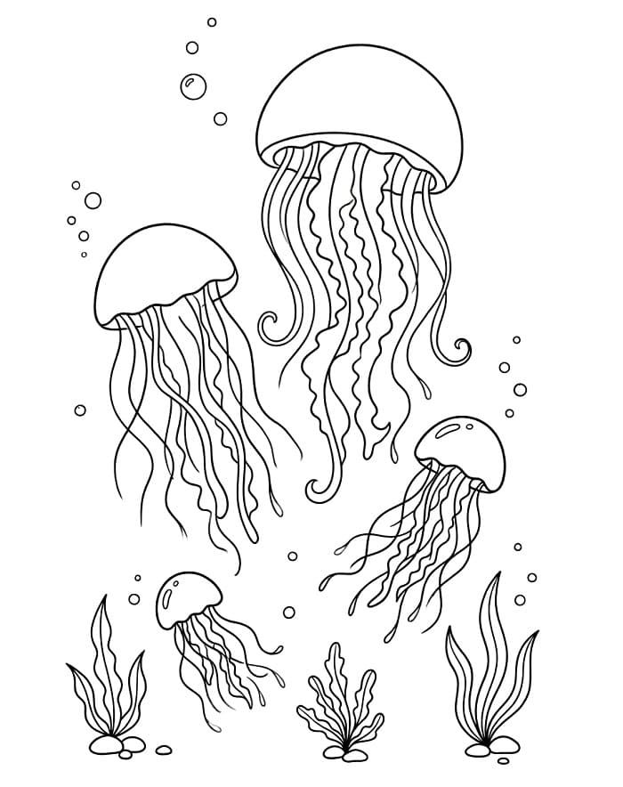 Vanlig manet fargelegging