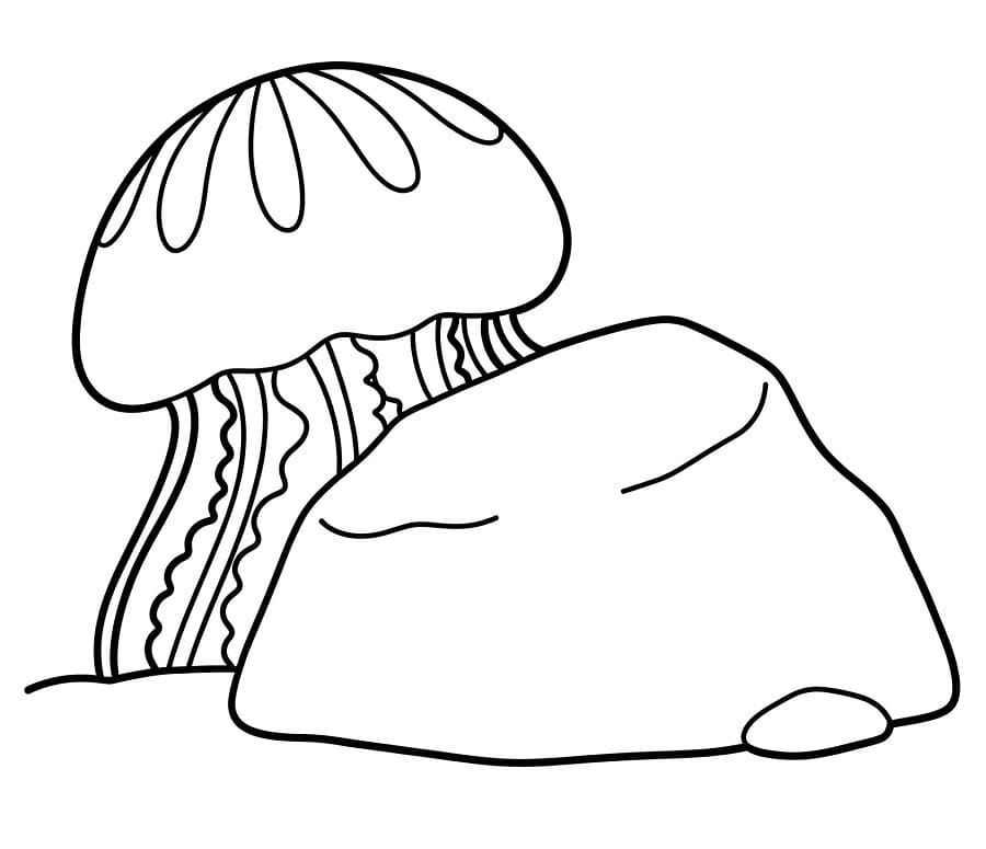 Veldig søt manet fargelegging