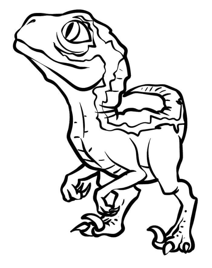 Velociraptor utskriftbart bilde fargelegging