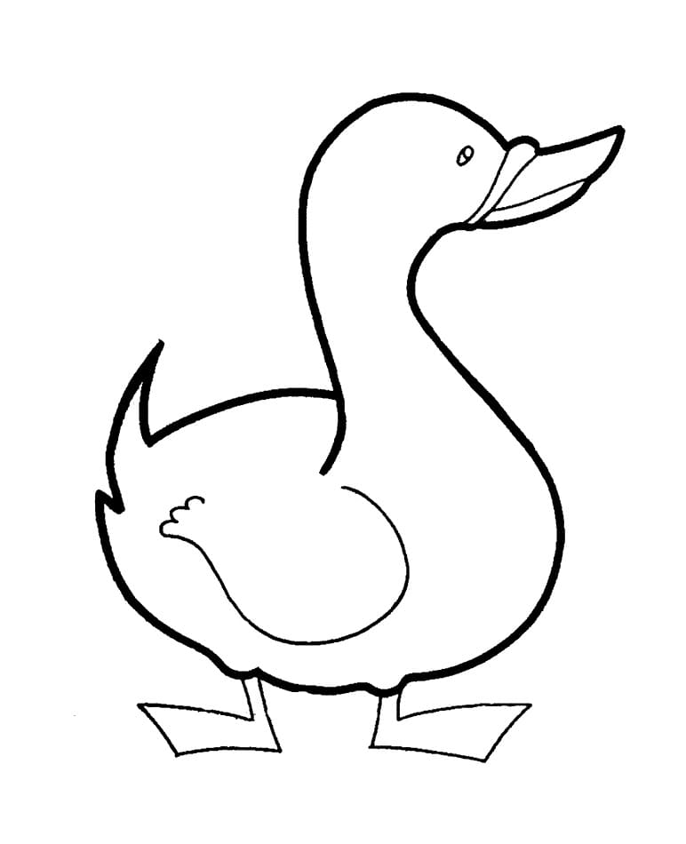 And for 4-åringer fargelegging