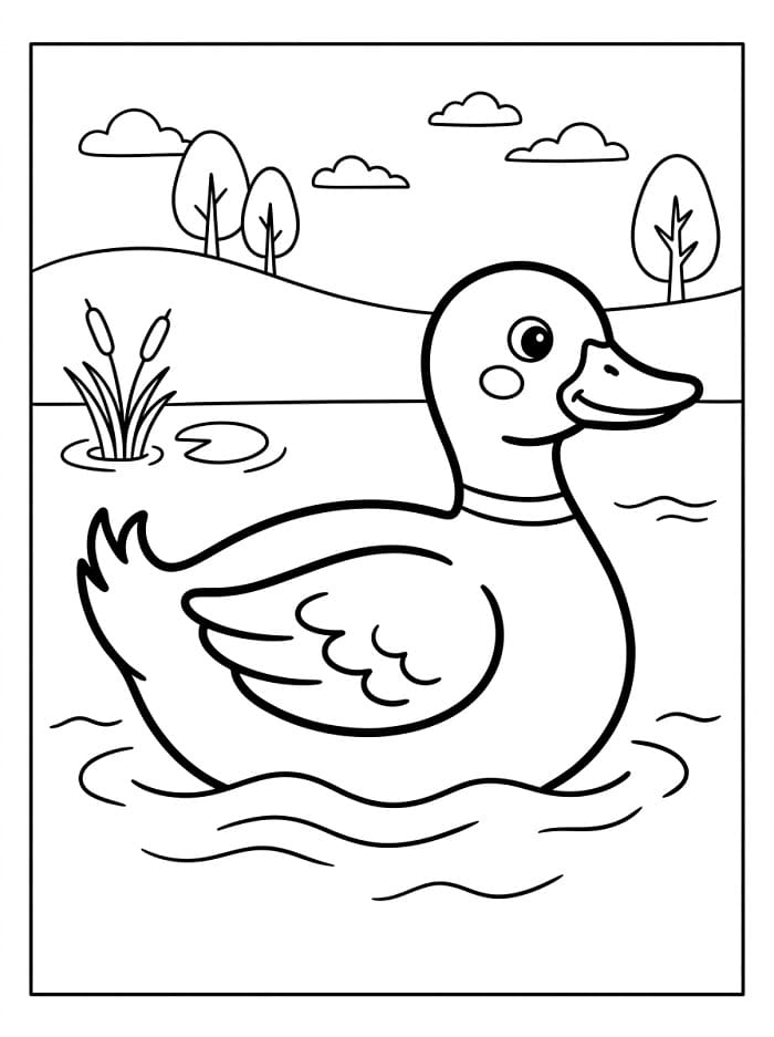 And gratis fargelegging