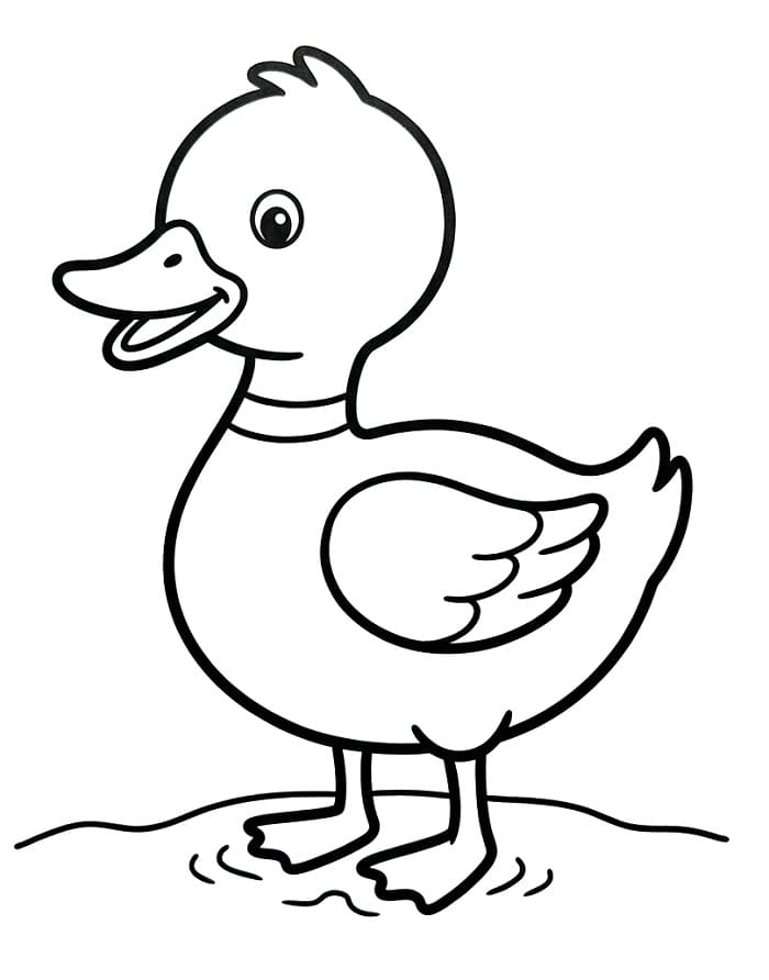 And uten kostnad fargelegging