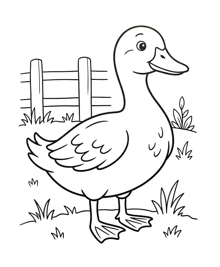 Bedårende and fargelegging