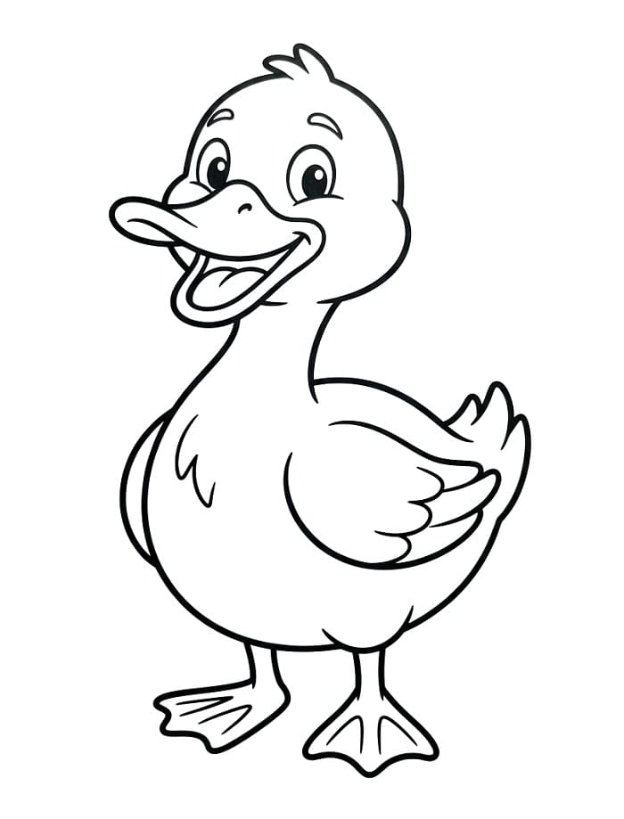 Dyreand fargelegging